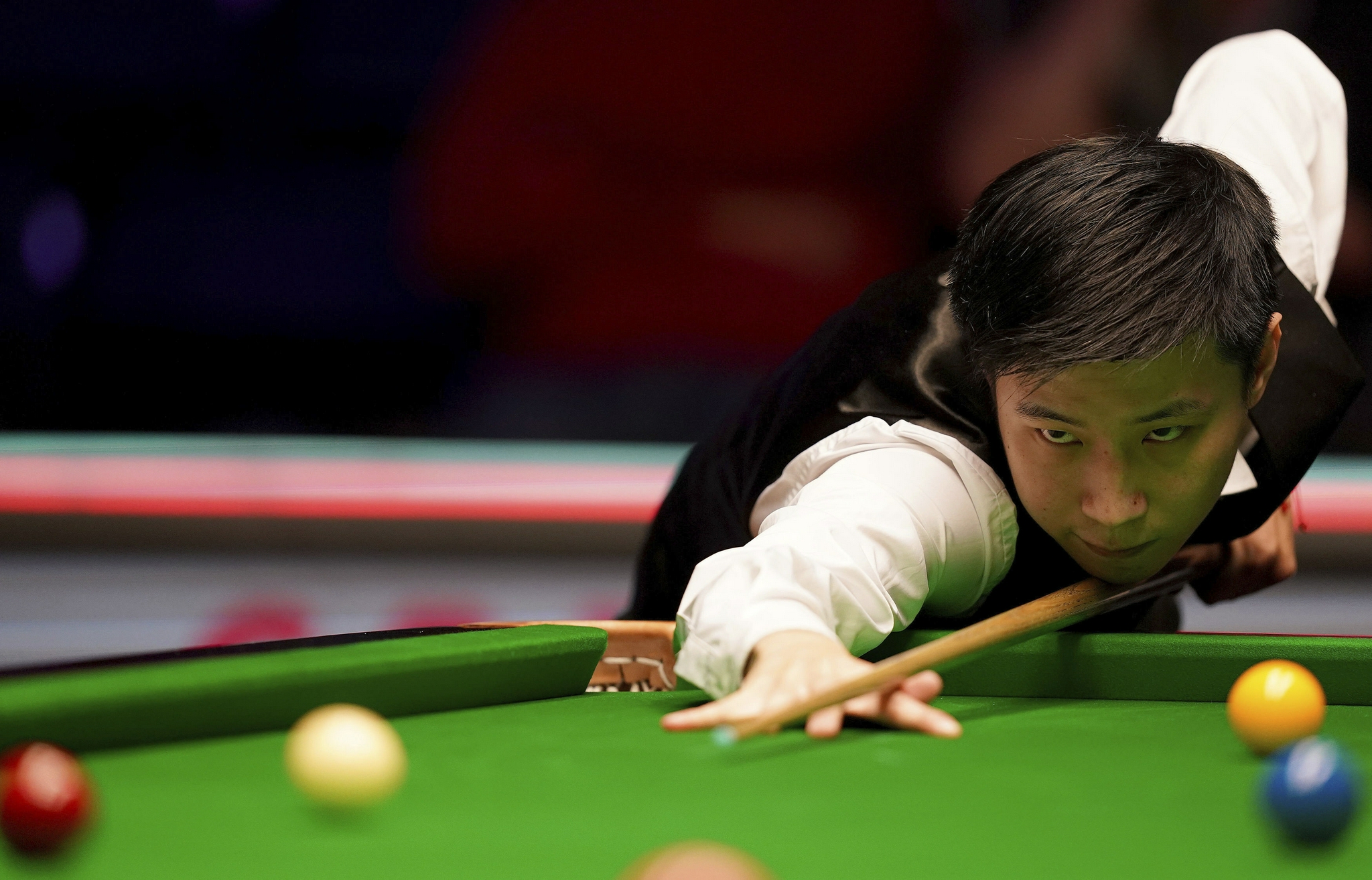 将为他们与 将为他们与