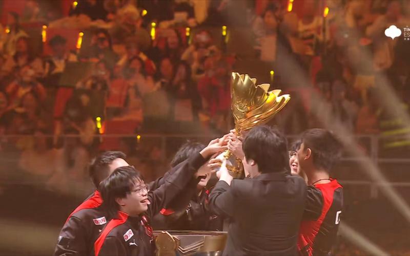 验亮点